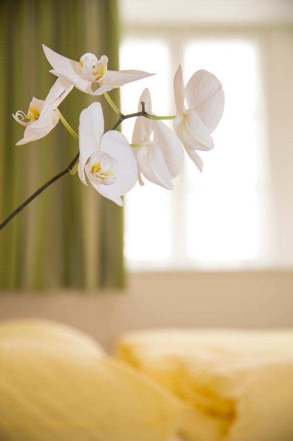 B&B Zum Guten Tropfen San Paolo  Экстерьер фото